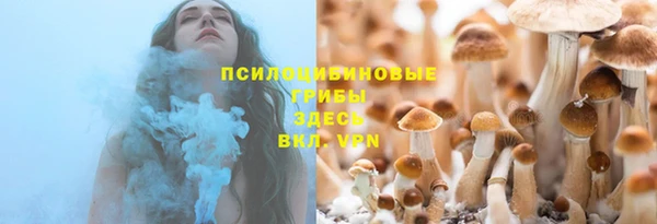 ГАЛЛЮЦИНОГЕННЫЕ ГРИБЫ Заводоуковск