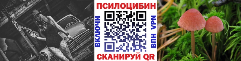 Купить где  Чудово  Псилоцибиновые грибы GOLDEN TEACHER 